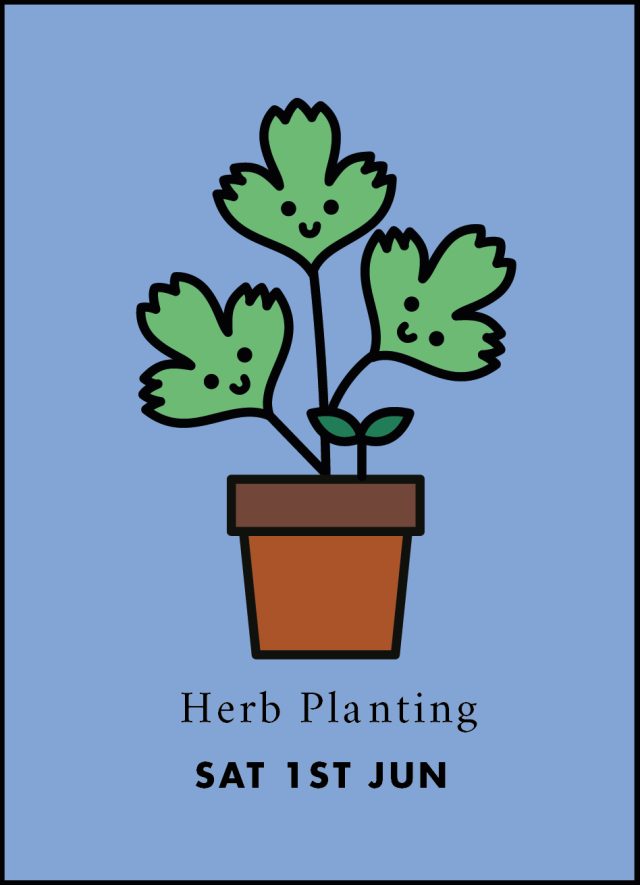 Family Activity: Herb Planting
