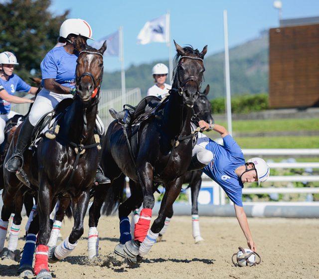Retraining of Racehorses – Racing to Horseball Cup