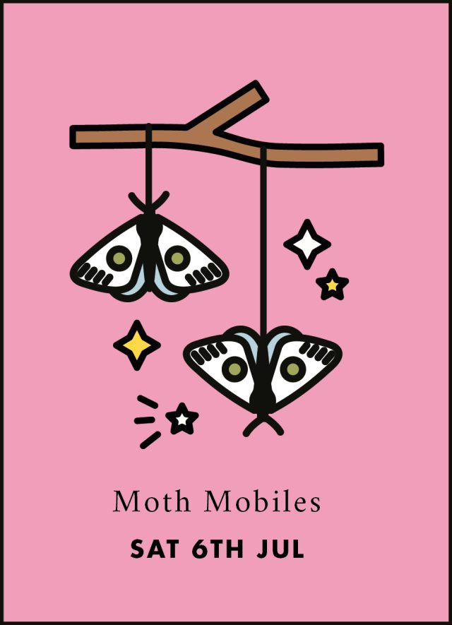 Family Activity: Moth Mobiles